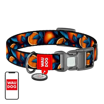 Waudog "Oranges" nailoninė apykaklė šunims su QR kodu, M dydis