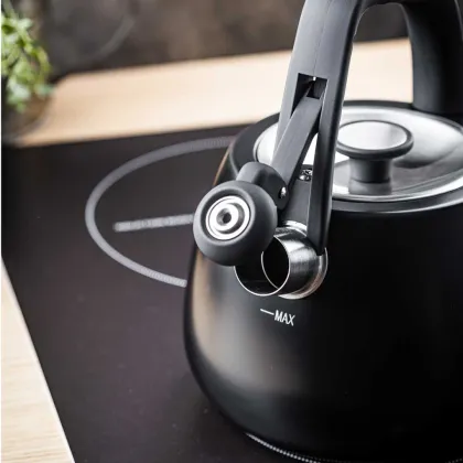 PLIENINIS VIRDULYS SU ŠVILPUKU 2,5 L KLAUSBERG KB-7774