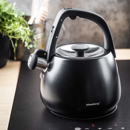 PLIENINIS VIRDULYS SU ŠVILPUKU 2,5 L KLAUSBERG KB-7774