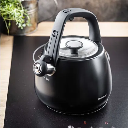 PLIENINIS VIRDULYS SU ŠVILPUKU 2,5 L KLAUSBERG KB-7774