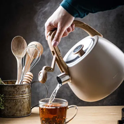 PLIENINIS VIRDULYS SU ŠVILPUKU 2,5 L KLAUSBERG KB-7775